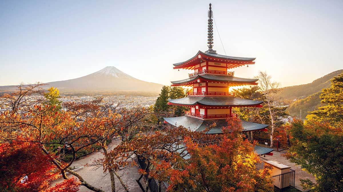 Japonya Turu: Tarih, Kültür ve Sakura Zamanı