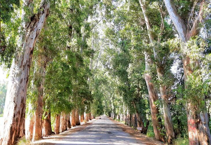 KONAKLAMALI FETHİYE - DALYAN - AKYAKA TURU (1 Gece Konaklamalı) | İZMİR ÇIKIŞLI