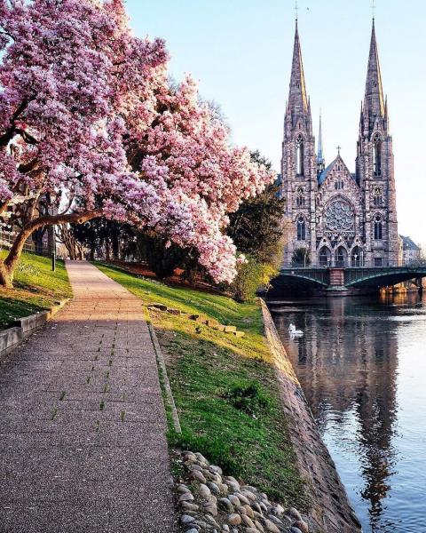 Antalya’dan Bernina Express İle Avrupa Masalı Turu | SunExpress ile 7 Gece