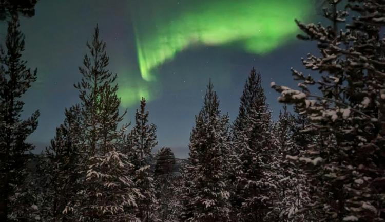 Lapland Fırsat Turu 3 Gece 4 Gün