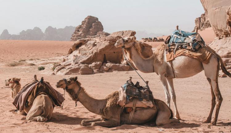 KIZIL KUMLAR VE ANTİK SIRLAR: ÜRDÜN