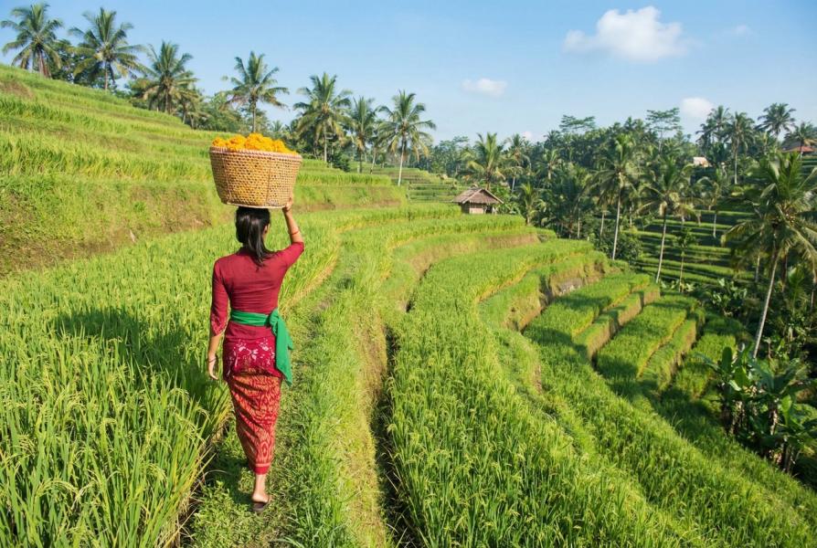 BALİ - UBUD TURU