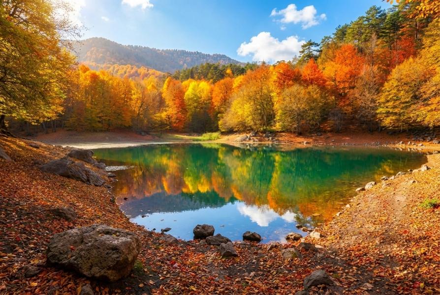 2 GECE KONAKLAMALI BATI KARADENİZ ŞİLE AĞVA VE YEDİGÖLLER TURU