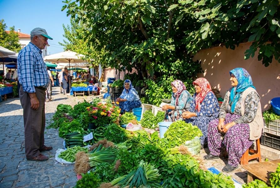 GÜNÜBİRLİK TİRE SALI PAZARI VE KADINLAR MATİNESİ TURU