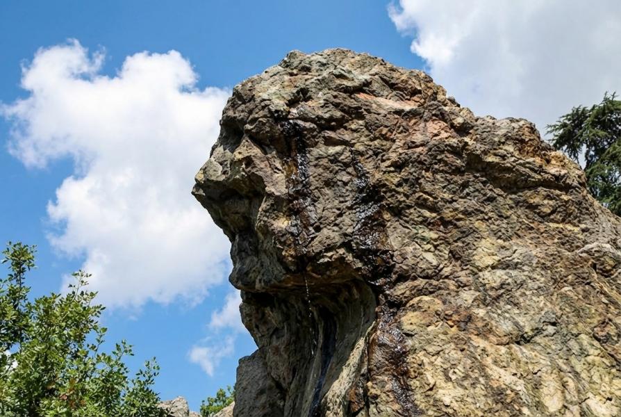 GÜNÜBİRLİK MANİSA-SPİL KAR KEYFİ TURU