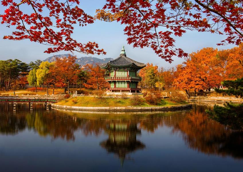 JAPONYA - KORE TURU 8 GÜN