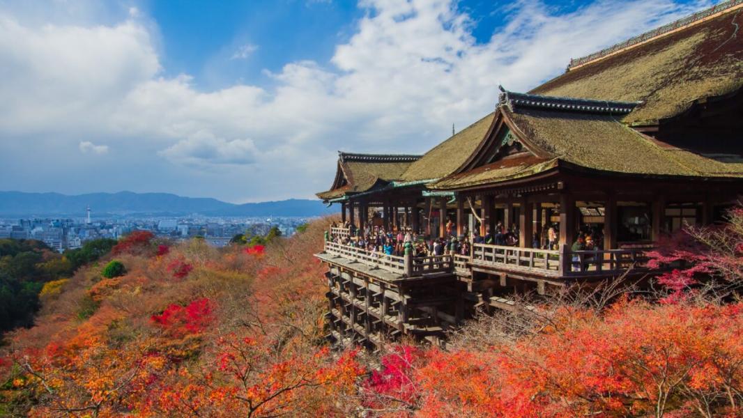 JAPONYA - KORE TURU 8 GÜN