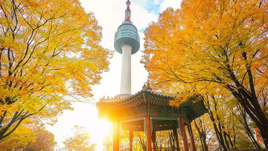 JAPONYA - KORE TURU 8 GÜN