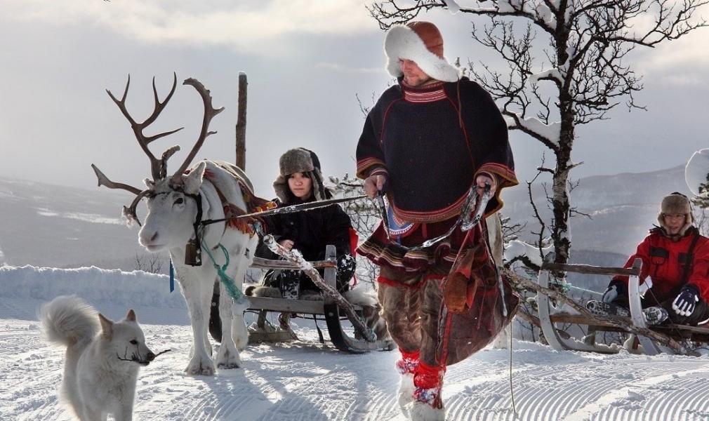ELEGANT MURMANSK KUZEY IŞIKLARI TURU