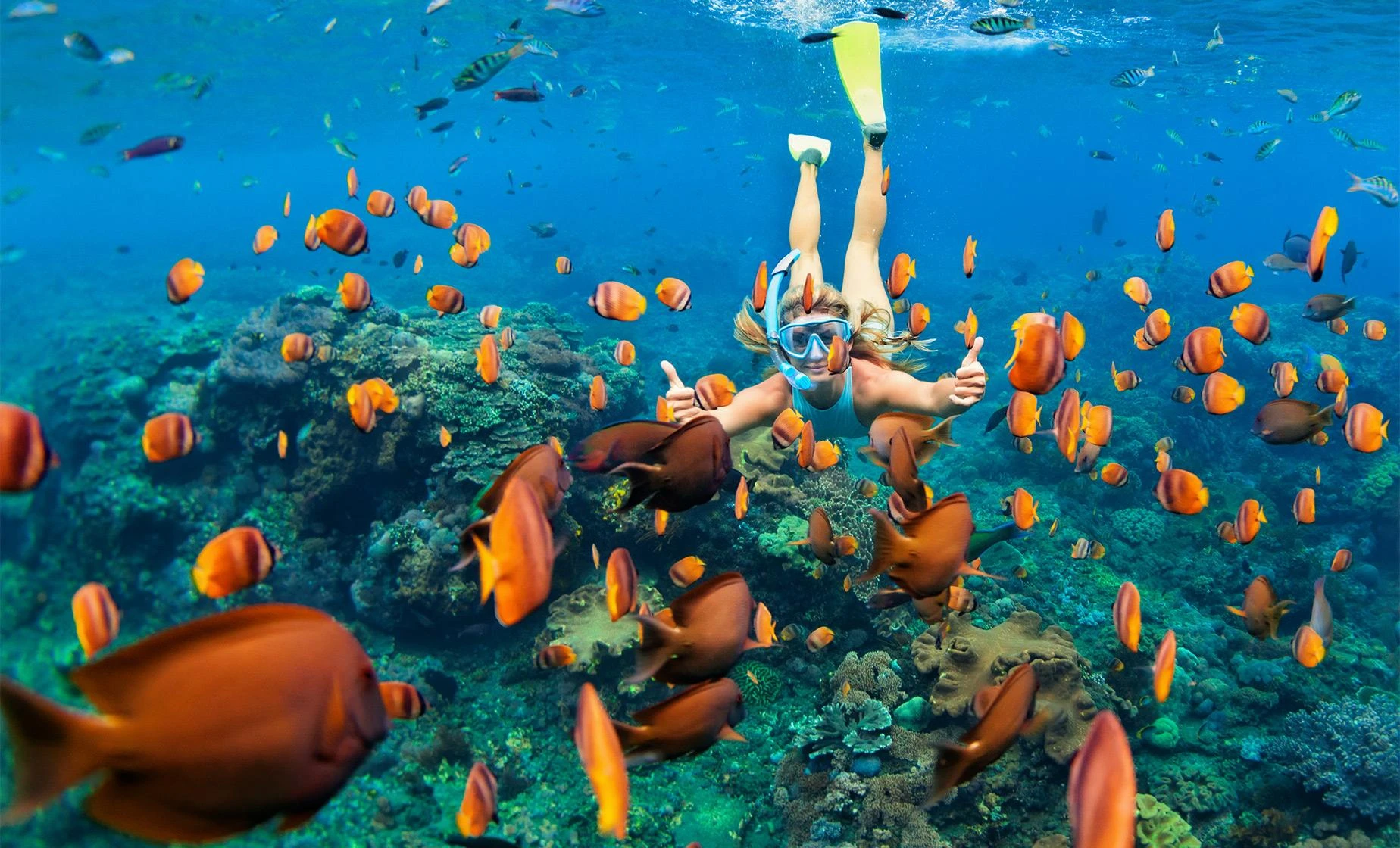HER GÜN HAREKETLİ SHARM EL SHEIKH TURU - ANKARA / İSTANBUL / İZMİR