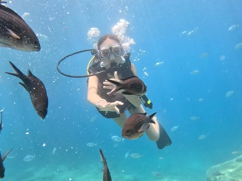 Scuba Diving Tour in Alanya by Boat