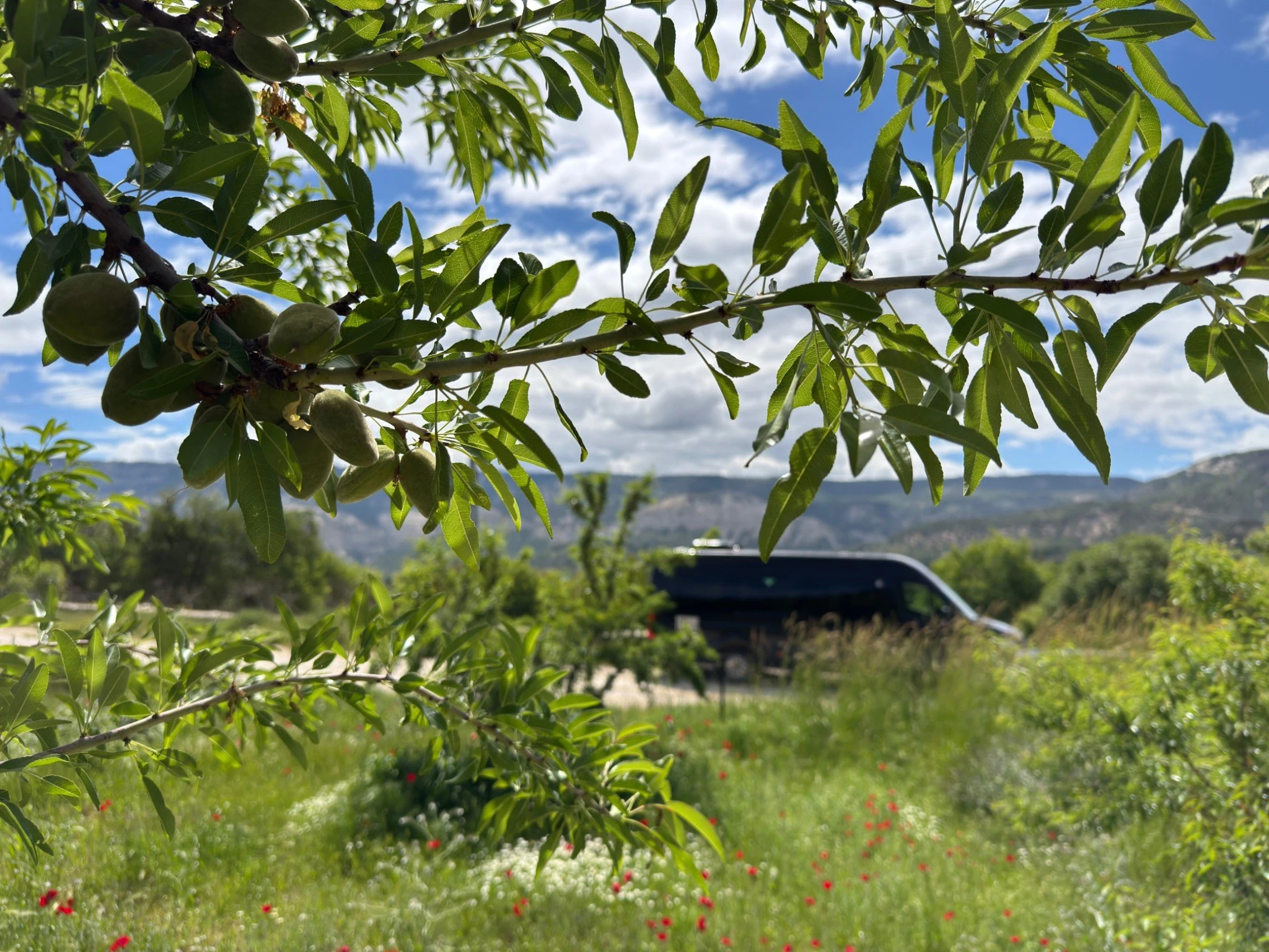 A Weekend in Ermenek