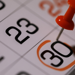 Calender