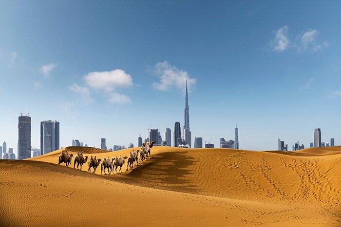 Çölün Ortasındaki Vaha Dubai Turu Dubai Şehir Turu Dahil
