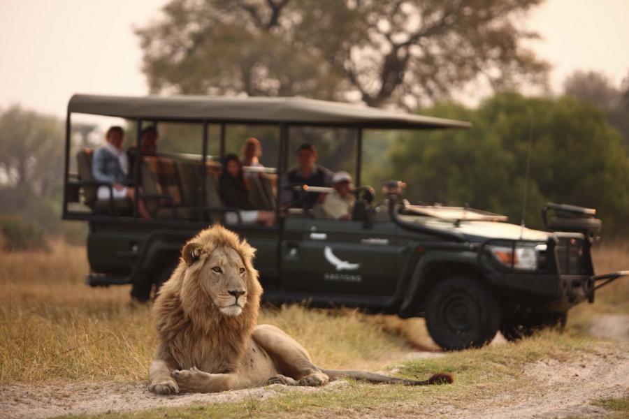 Görkemli Güney Afrika ve Safari Turu