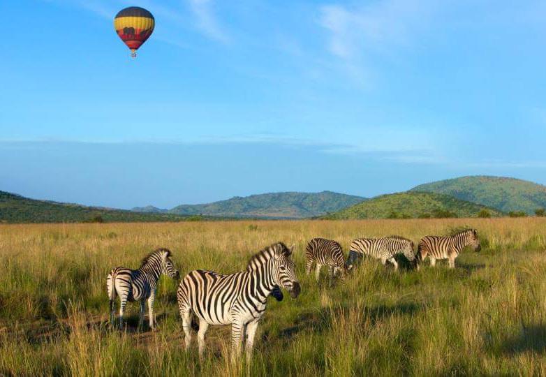Görkemli Güney Afrika ve Safari Turu