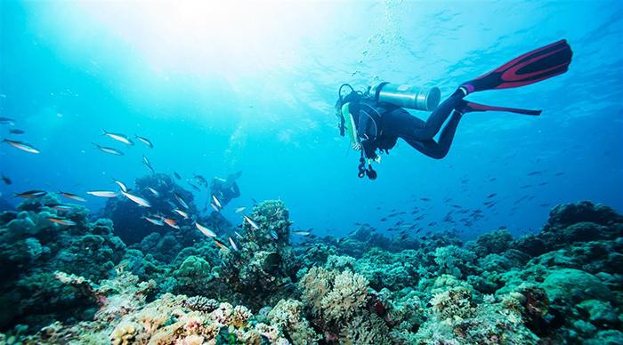 Sharm El Sheıkh Turu  Kızıldeniz Rotası - Yılbaşı Özel 