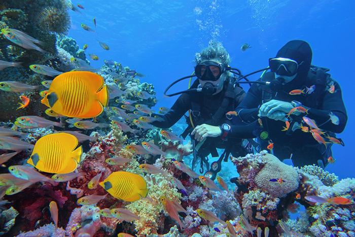 Promosyon Kahire Sharm El Sheikh Turu 6 Gece - Kahire Şehir Gezisi Dahil