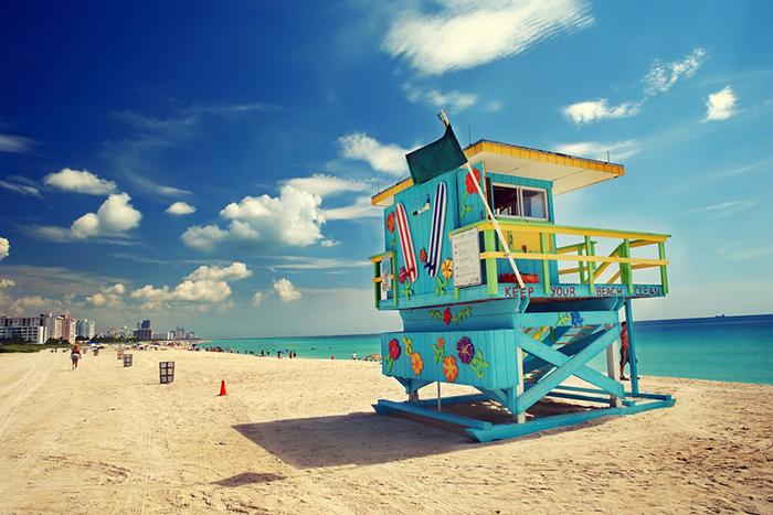 Miami Turu ( MiA - MİA )