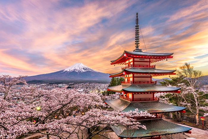 Dolu Dolu Japonya Turu Mistik Rotalar