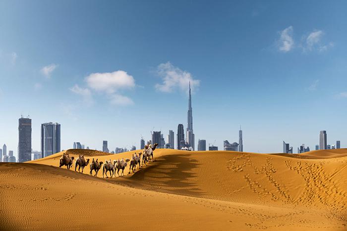 Çölün Ortasındaki Vaha Dubai Turu  Dubai Şehir Turu Dahil 