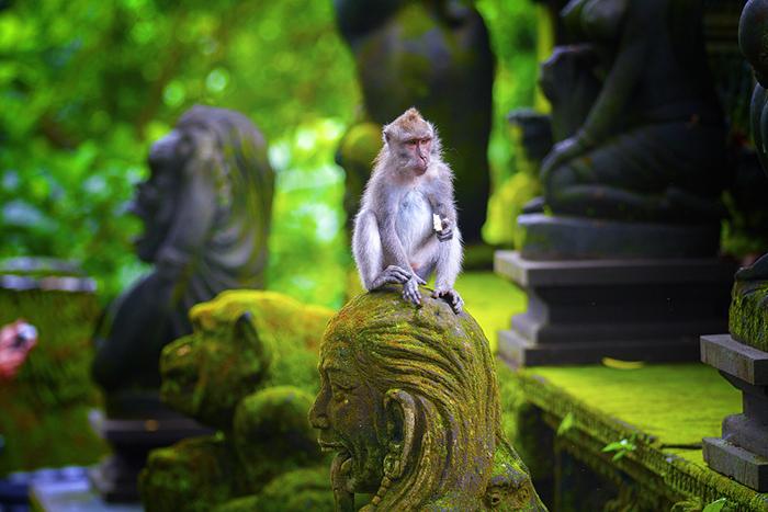 İkonik Dubai & Egzotik Bali-Ubud Rotası 