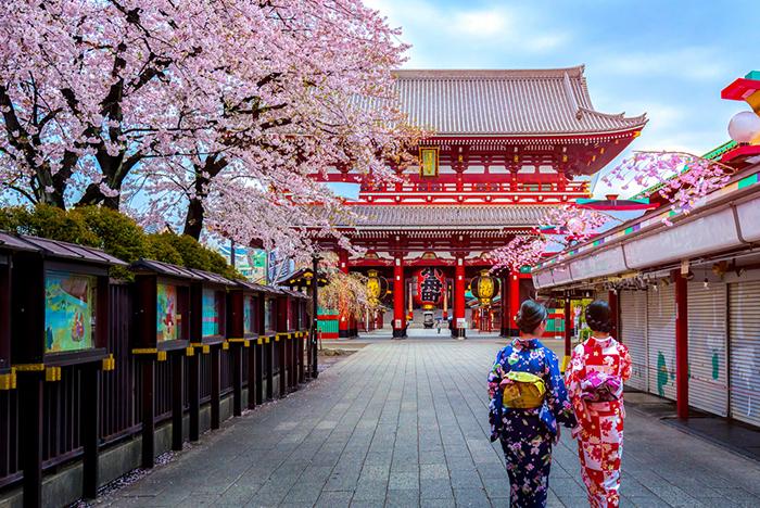Japonya Turu & Eğlence Rotası 