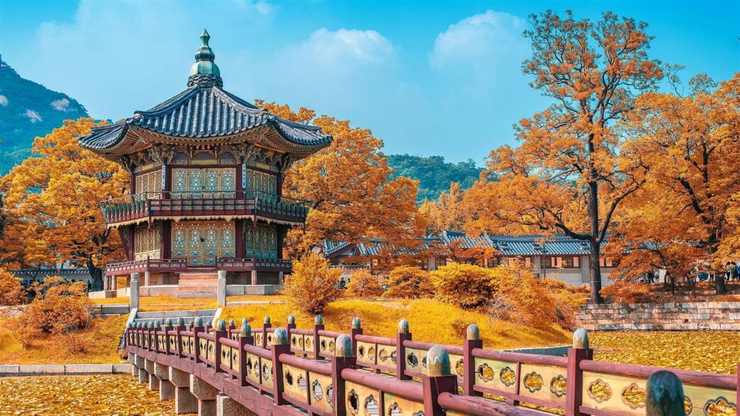 Sakura Dönemi Japonya & Kore Turu Mistik Rotalar