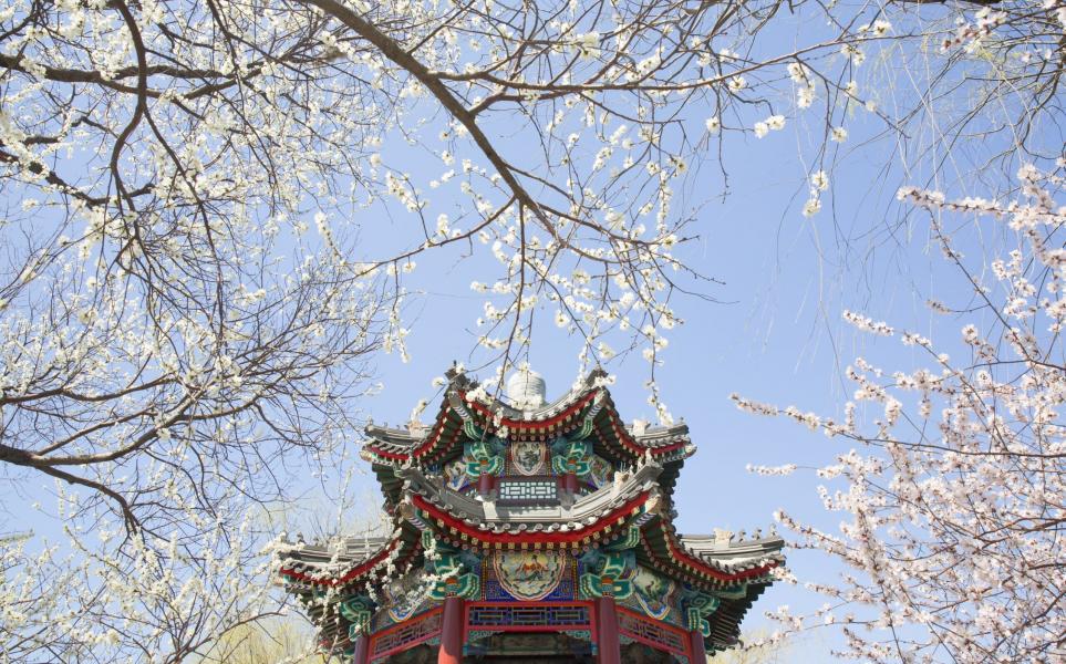 Muhteşem Çin & Yangtze Turu