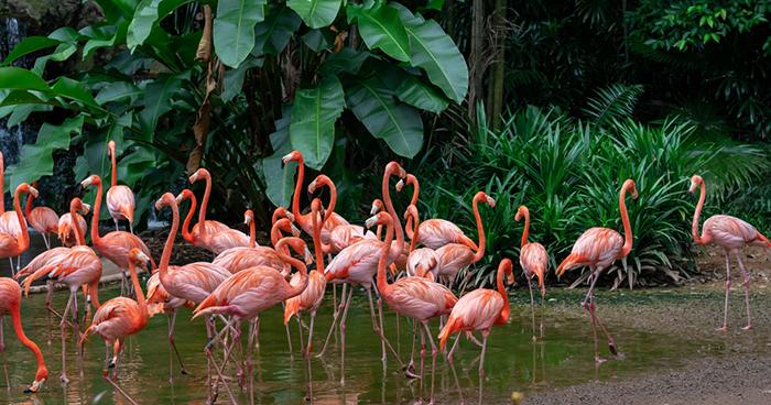 Bangkok – Phuket – Singapur Serüveni 
