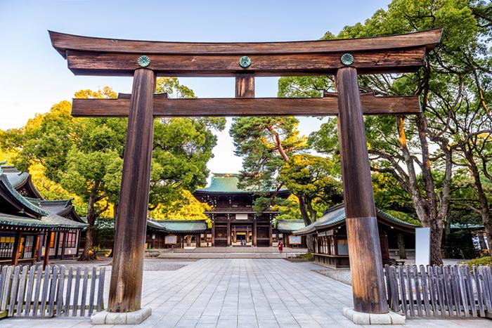 Büyük Japonya Turu (HND-HND)