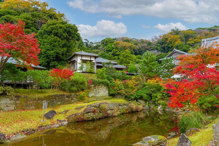 Dolu Dolu Sakura Dönemi Özel  Japonya & Kore Turu Mistik Rotalar 
