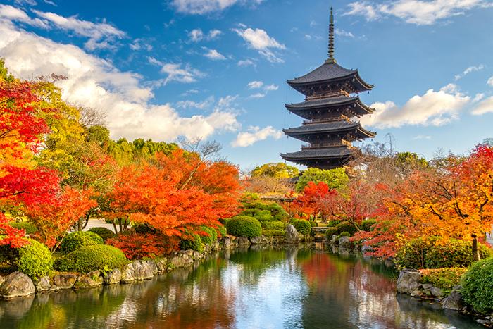 Türk Hava Yolları ile Elegant Japonya & Güney Kore Turu (ICN-NRT) 