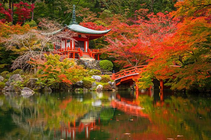 Emirates Hava Yolları ile Elegant Japonya & Güney Kore Turu (ICN-NRT) 
