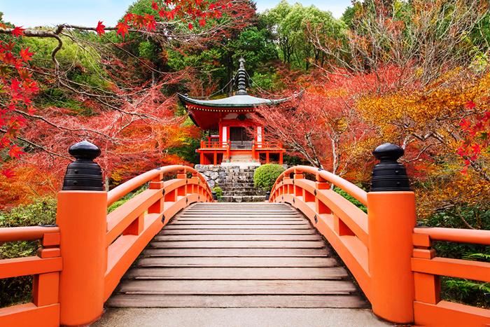 Emirates Hava Yolları ile Elegant Japonya & Güney Kore Turu (ICN-NRT) 