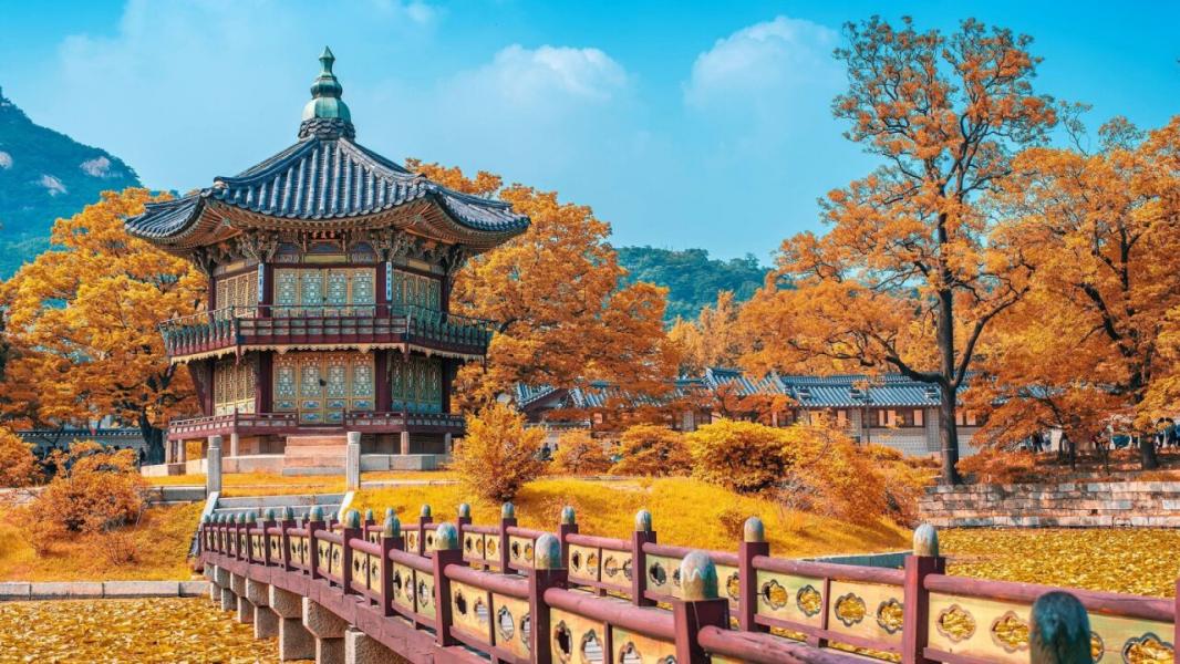 Türk Hava Yolları ile Comfort Japonya & Kore Turu