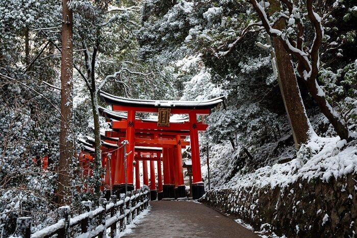 Türk Hava Yolları ile Comfort Japonya & Kore Turu  