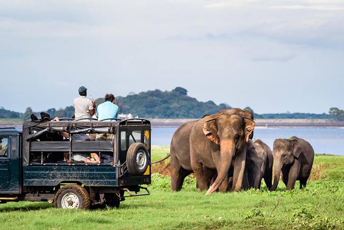 Dolu Dolu Büyük Sri Lanka Turu Rotası 