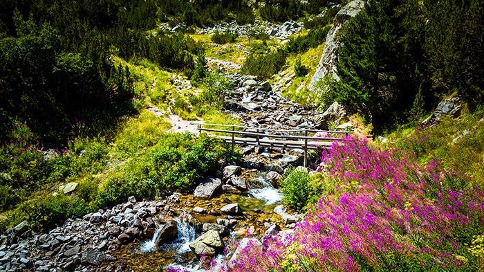 Bansko Kayak Turu 3 Gece 