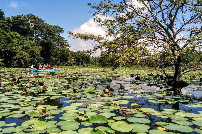 Yaz Dönemi Türk Hava Yolları ile Sri Lanka Turu