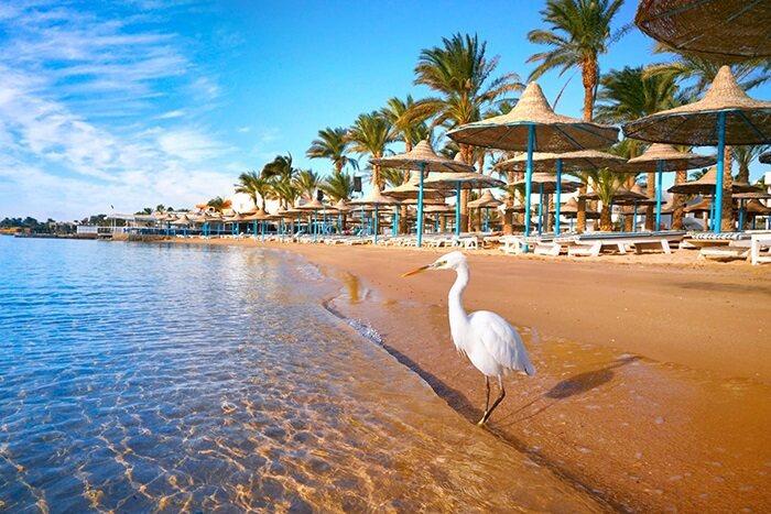Hurghada (Luksor) ve Kahire (İskenderiye) – Hurghada’da Her Şey Dahil Konaklama 