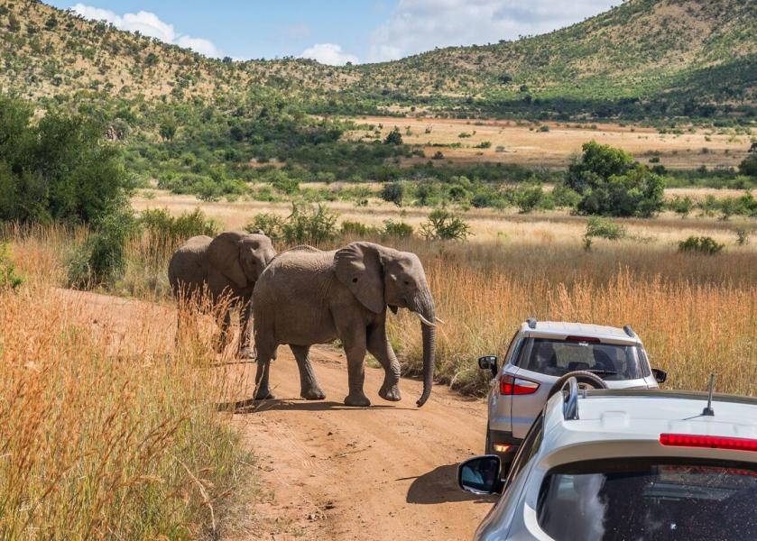 Dolu Dolu  Güney Afrika & Bostvana & Victoria  Şelaleleri Turu Rotası