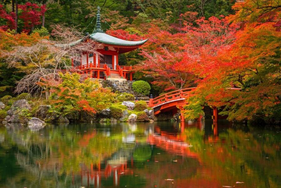 Dolu Dolu  Japonya & Kore Turu Mistik Rotalar