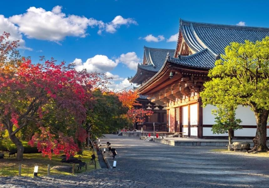 Dolu Dolu  Japonya & Kore Turu Mistik Rotalar