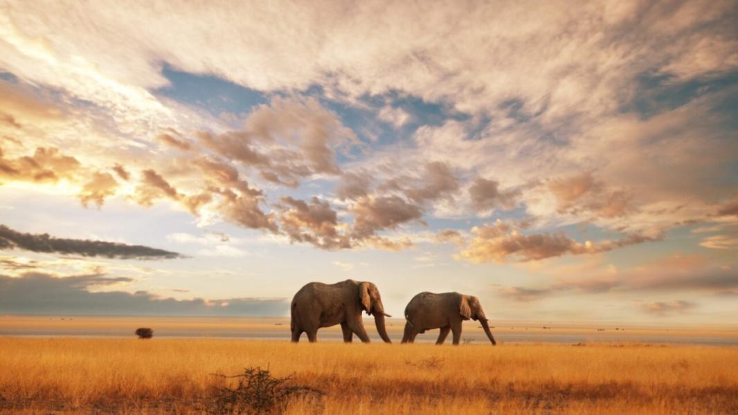  Dolu Dolu Kenya Safari Turu Rotası