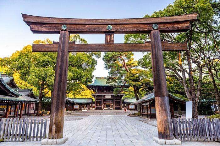Dolu Dolu Sakura Dönemi Özel  Japonya & Kore Turu Mistik Rotalar V2