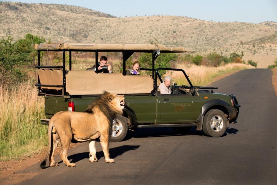 Güney Afrika Safari Turu Rotası  (Cape Town - Johannesburg) 