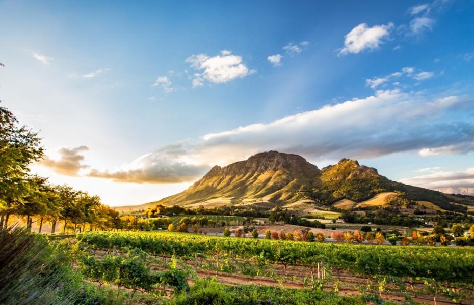 Güney Afrika Safari Turu Rotası  (Cape Town - Johannesburg) 