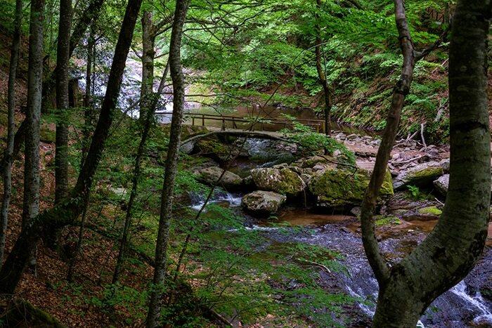Otobüslü İskece Karnavalı Turu 