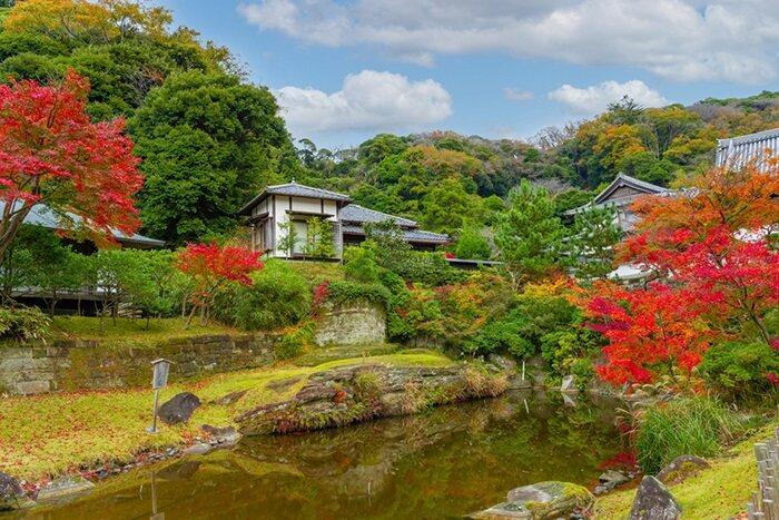 Japonya Turu Mistik Rotalar